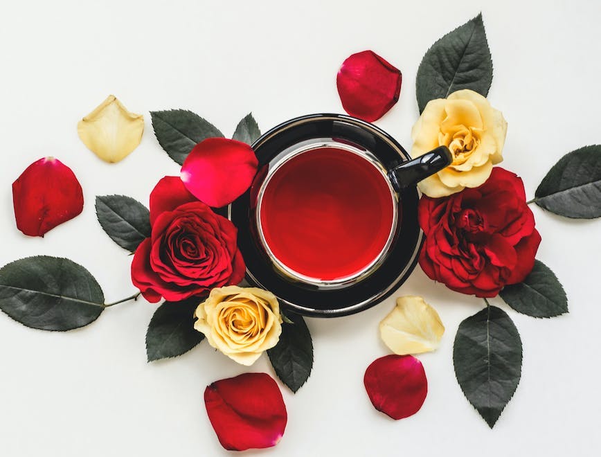 rose plant flower blossom tea beverage drink petal