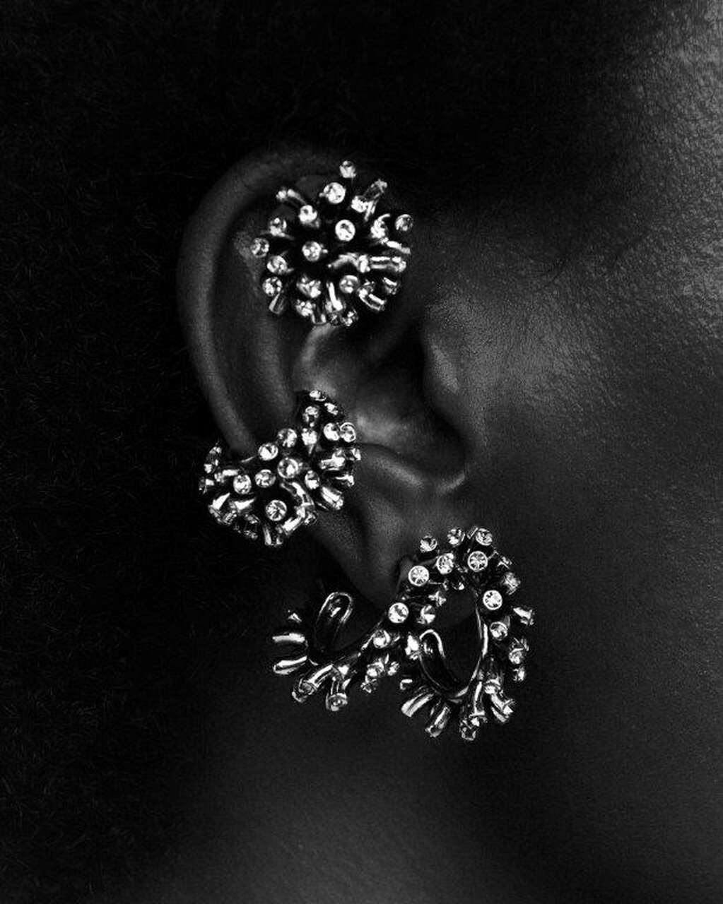 accessories earring jewelry