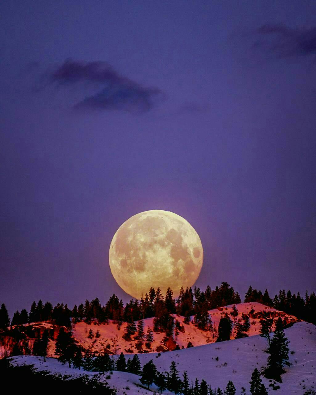 nature night outdoors astronomy moon full moon